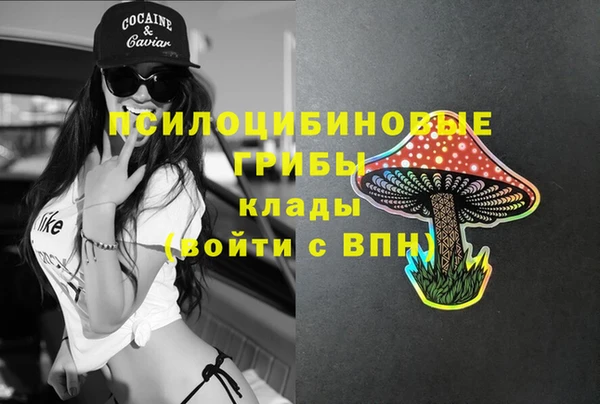 а пвп мука Осинники