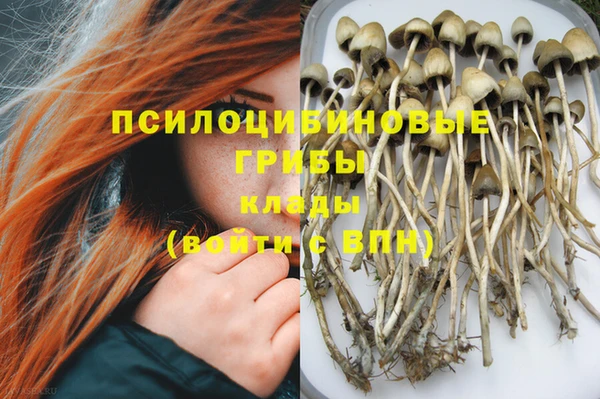 гидропоника Алзамай