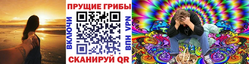 купить закладку  Алушта  Псилоцибиновые грибы прущие грибы 